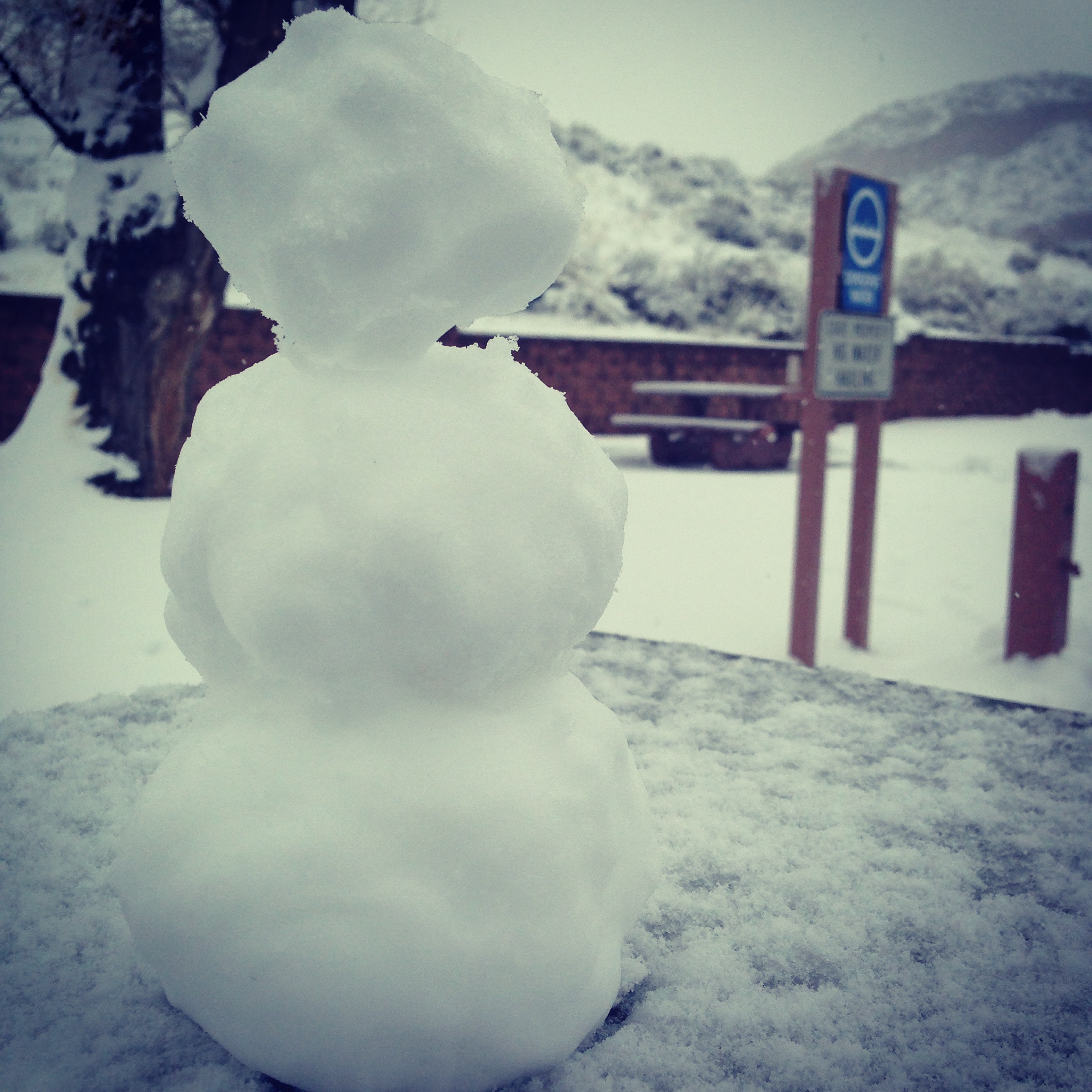 2016-01-07 15.31.21-1