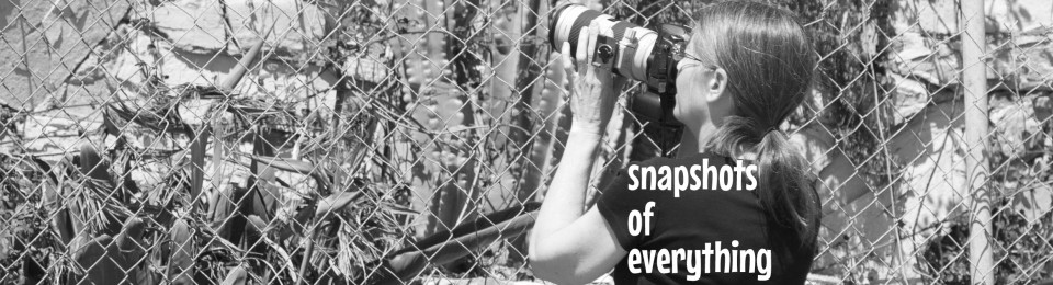 snapshots of everything