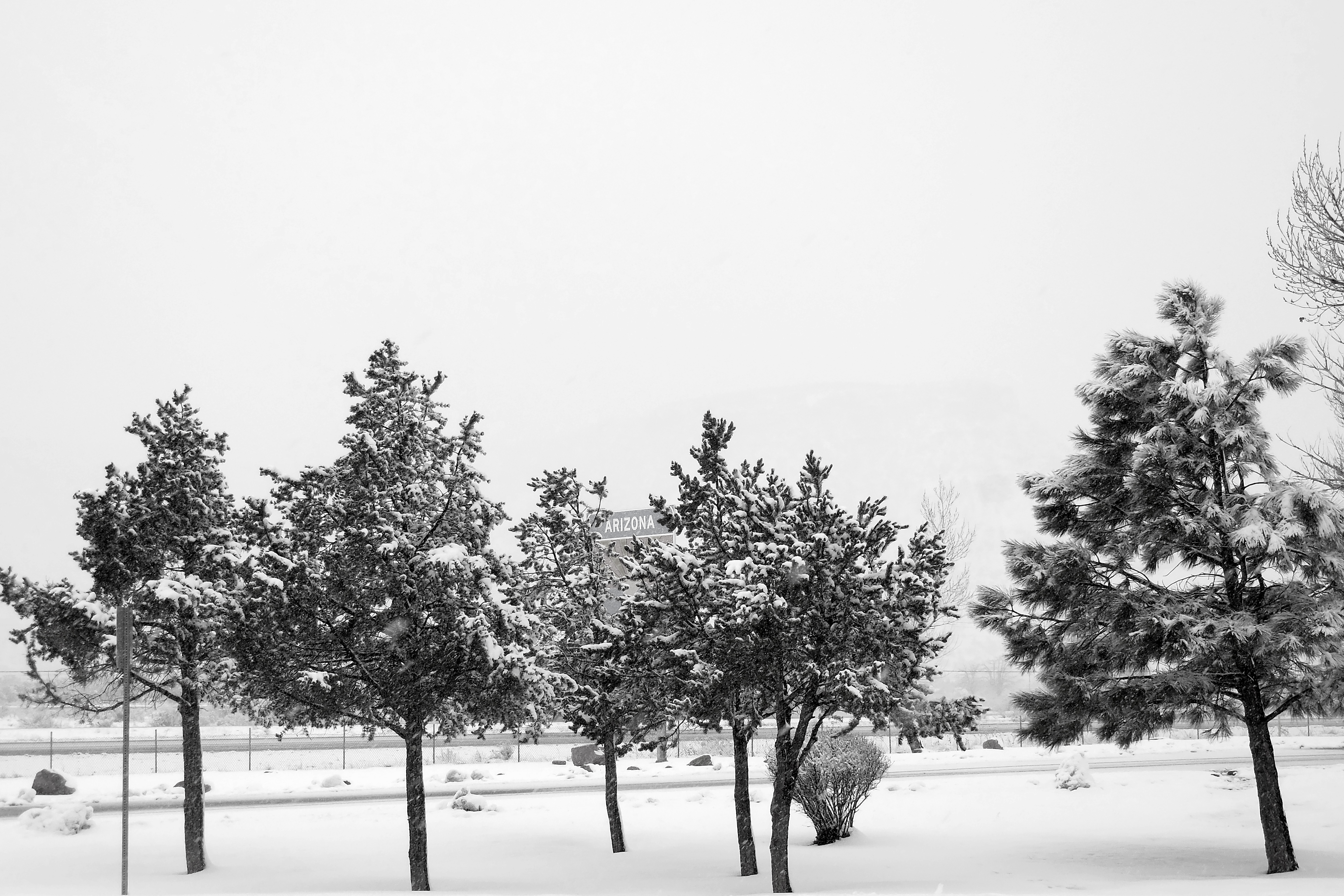 DSCN2734 Arizona Rest Stop January 2016 BW