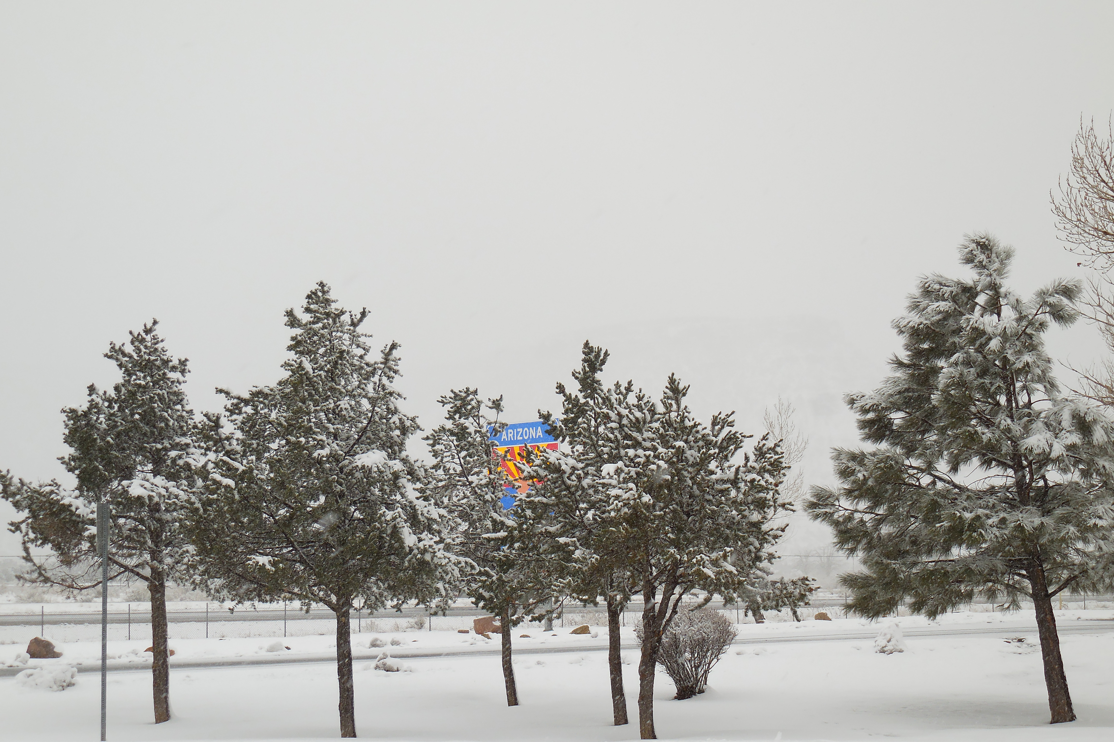 DSCN2734 Arizona Rest Stop January 2016