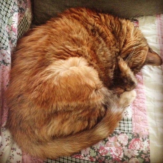 2016-01-18 13.33.11-1