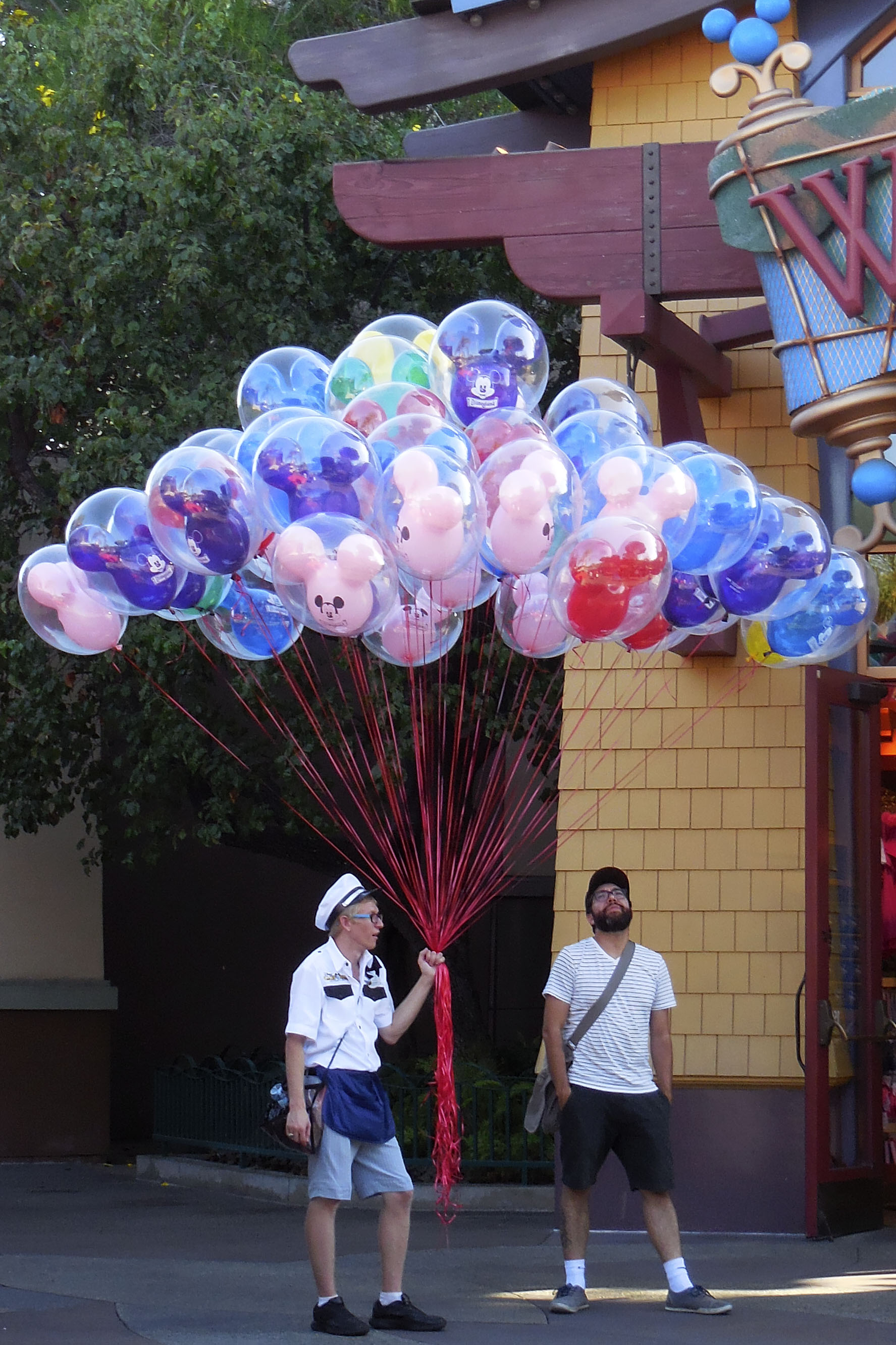 dscn3463-balloons-for-wordpress-2016-08-31